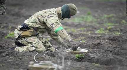 sapper defuses a mine on a minefield 